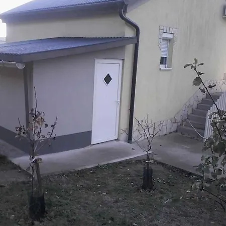 In - Balaton 42697