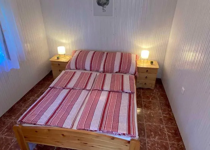 In - Balaton 42697 בית נופש