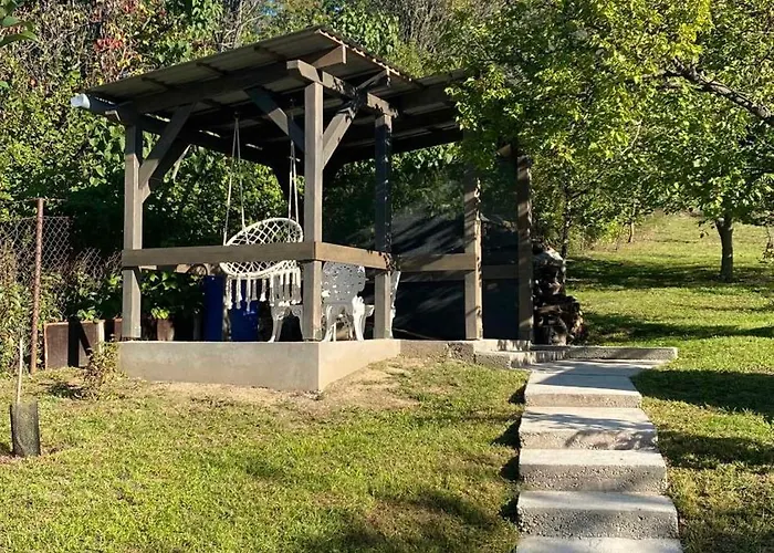 In - Balaton 42697 * פוניארצוושהג'